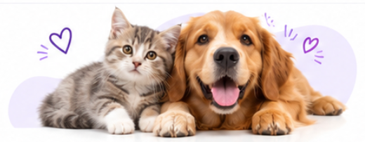 Gatito y perro juntos